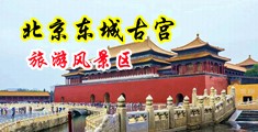 下体逼逼淫水成丝视频中国北京-东城古宫旅游风景区